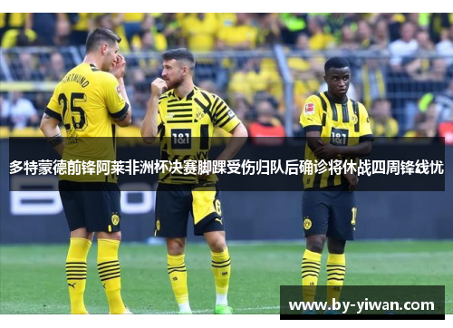 多特蒙德前锋阿莱非洲杯决赛脚踝受伤归队后确诊将休战四周锋线忧