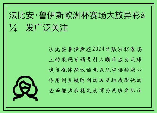 法比安·鲁伊斯欧洲杯赛场大放异彩引发广泛关注